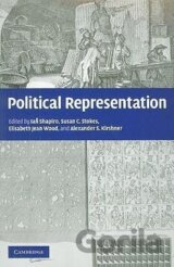 Political Representation