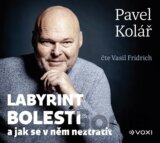 Labyrint bolesti (audiokniha)