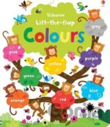 Lift the Flap Colours Book