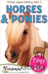 Horses and Ponies (First Q&A)