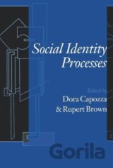 Social Identity Processes