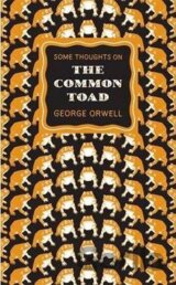 Some Thoughts on the Common Toad