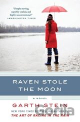 Raven Stole the Moon