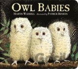 Owl Babies