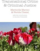 Transnational Crime and Criminal Justice
