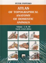 Atlas of topographical anatomy of domestic animals