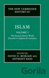 The New Cambridge History of Islam