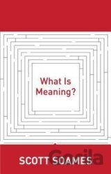 What Is Meaning?