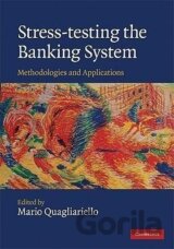 Stress-Testing the Banking System