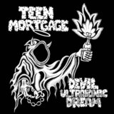 Teen Mortgage:  Devil Ultrasonic Dream  LP