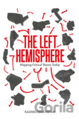 Left Hemisphere: Mapping Critical Theory Today