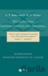 Witt Understanding Meaning