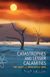 Catastrophes and Lesser Calamities