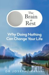 The Brain at Rest