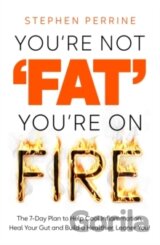Youre Not Fat, Youre On Fire