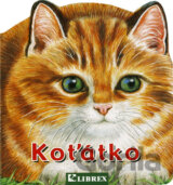 Koťátko