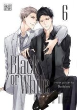 Black or White 6
