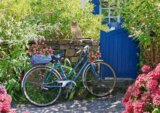 Country outing by Bike