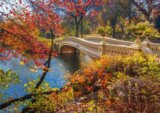 A Stroll Through Central Park