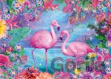 Flamingos