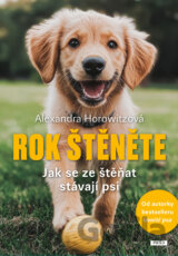 Rok štěněte