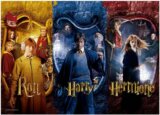 Harry Potter: Harry & Ron & Hermione - Mladí čarodejnící