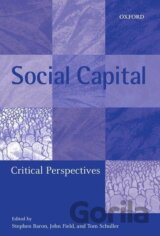 Social Capital