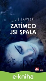 Zatímco jsi spala