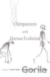 Chimpanzees and Human Evolution