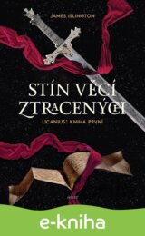 Stín věcí ztracených