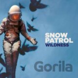 Snow Patrol: Wildness