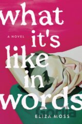 What It's Like in Words
