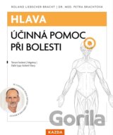 Hlava