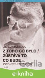 Z toho co bylo/ Zůstává to co bude