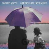 Gruff Rhys: American Interior