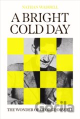 A Bright Cold Day