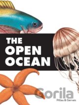 The Open Ocean