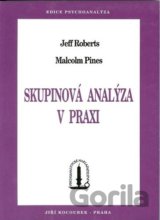 Skupinová analýza v praxi