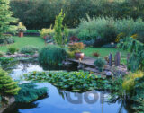 Ashwood Nurseries