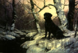 Black Labrador In Snowy Wood