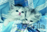 Two´s Company