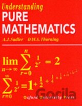 Understanding pure mathematics
