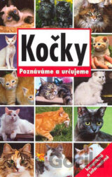 Kočky