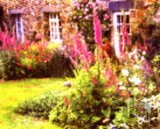 Guernsey Cottage Garden