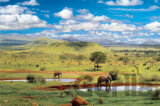 Národný park Tsavo West, Keňa
