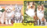 Psi a kočky 2008