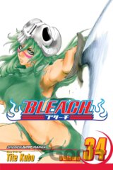 Bleach 34