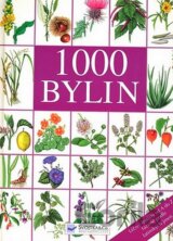 1000 bylin