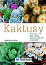 Kaktusy