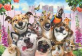 Pet Selfie